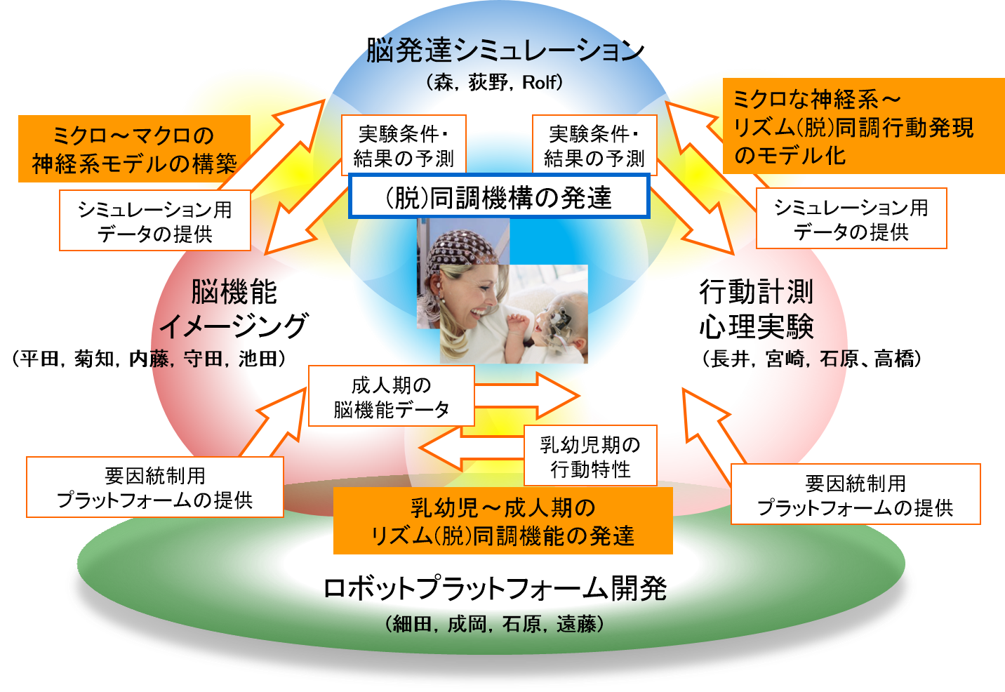 研究組織